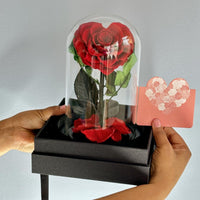 Customized Name Tag With Heart Shape Preserved Rose In Glass Dome And Heart Love Necklace