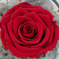 Crystal Angel And Preserved Rose With Lord's Prayer Cross Necklace