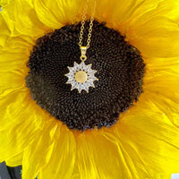 Preserved Sunflower In Glass Dome With Sunflower Necklace