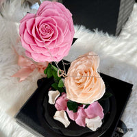 XL HEART SHAPED PRESERVED ROSES IN GLASS DOME WITH DOUBLE HEARTS NECKLACE