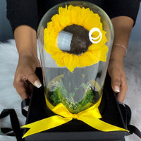 Preserved Sunflower In Glass Dome With Sunflower Necklace