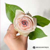 16 Mini Roses Jewelry Box with Heart Love Necklace Set