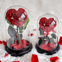HEART SHAPE PRESERVED ROSE IN GLASS DOME WITH HEART LOVE NECKLACE