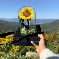 Preserved Sunflower In Glass Dome With Sunflower Necklace