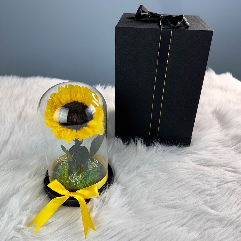 Preserved Sunflower In Glass Dome With Sunflower Necklace