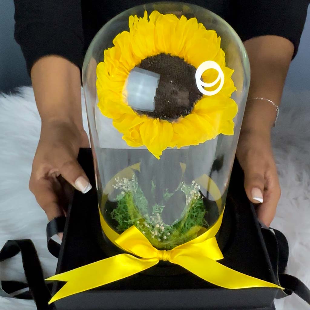 Preserved Sunflower In Glass Dome With Sunflower Necklace