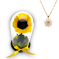Preserved Sunflower In Glass Dome With Sunflower Necklace