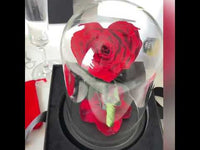 HEART SHAPE PRESERVED ROSE IN GLASS DOME WITH HEART LOVE NECKLACE